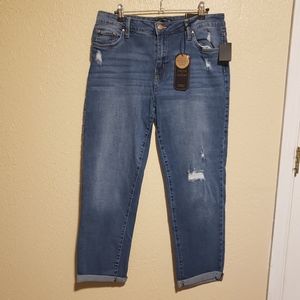 Truth + Theory Boyfriend‎ Distressed Jeans Size 12